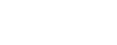 Fire and Rescue Governance in Focus